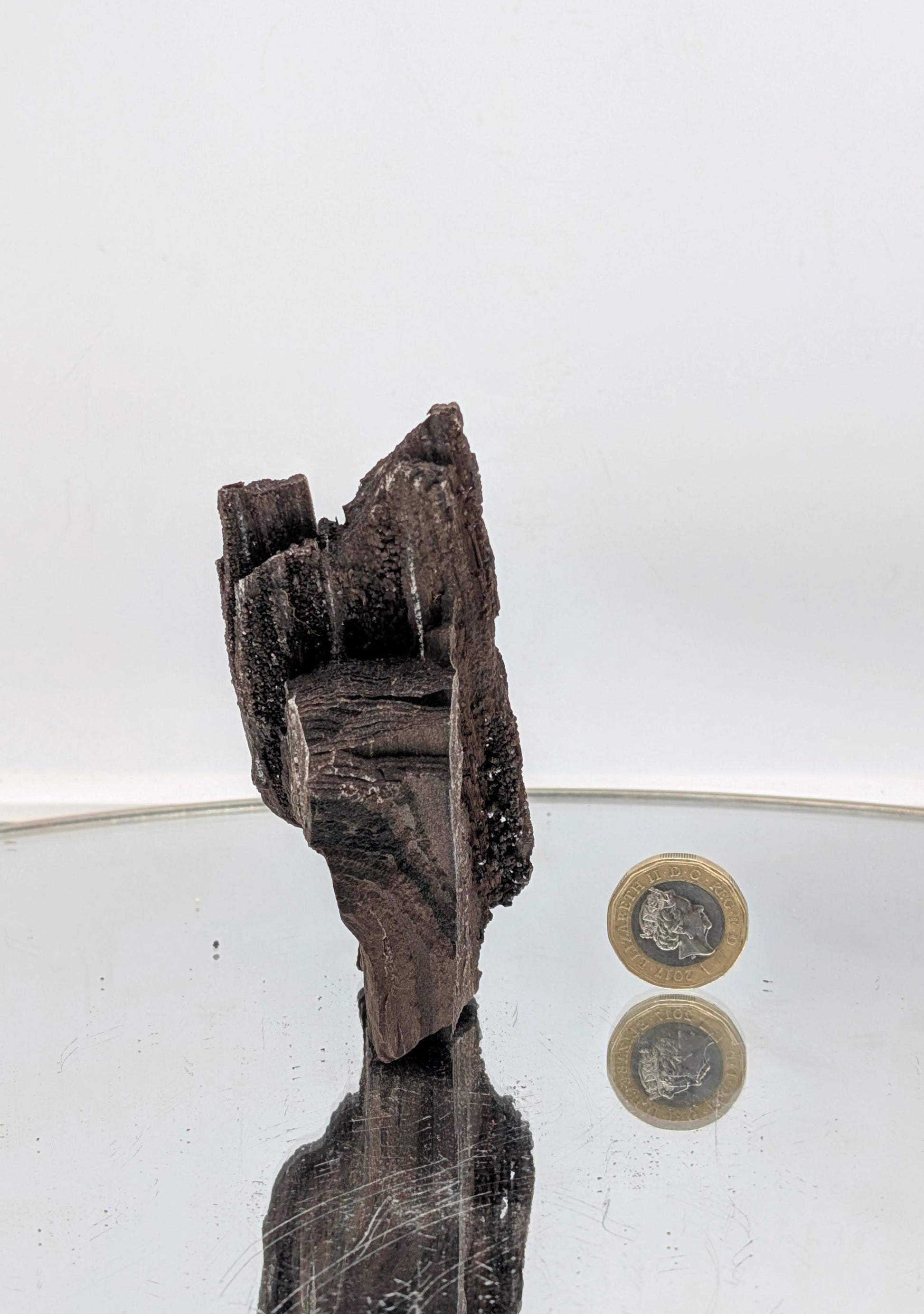 A German petrified wood quartz druzy display piece with brilliant crystal coverage.