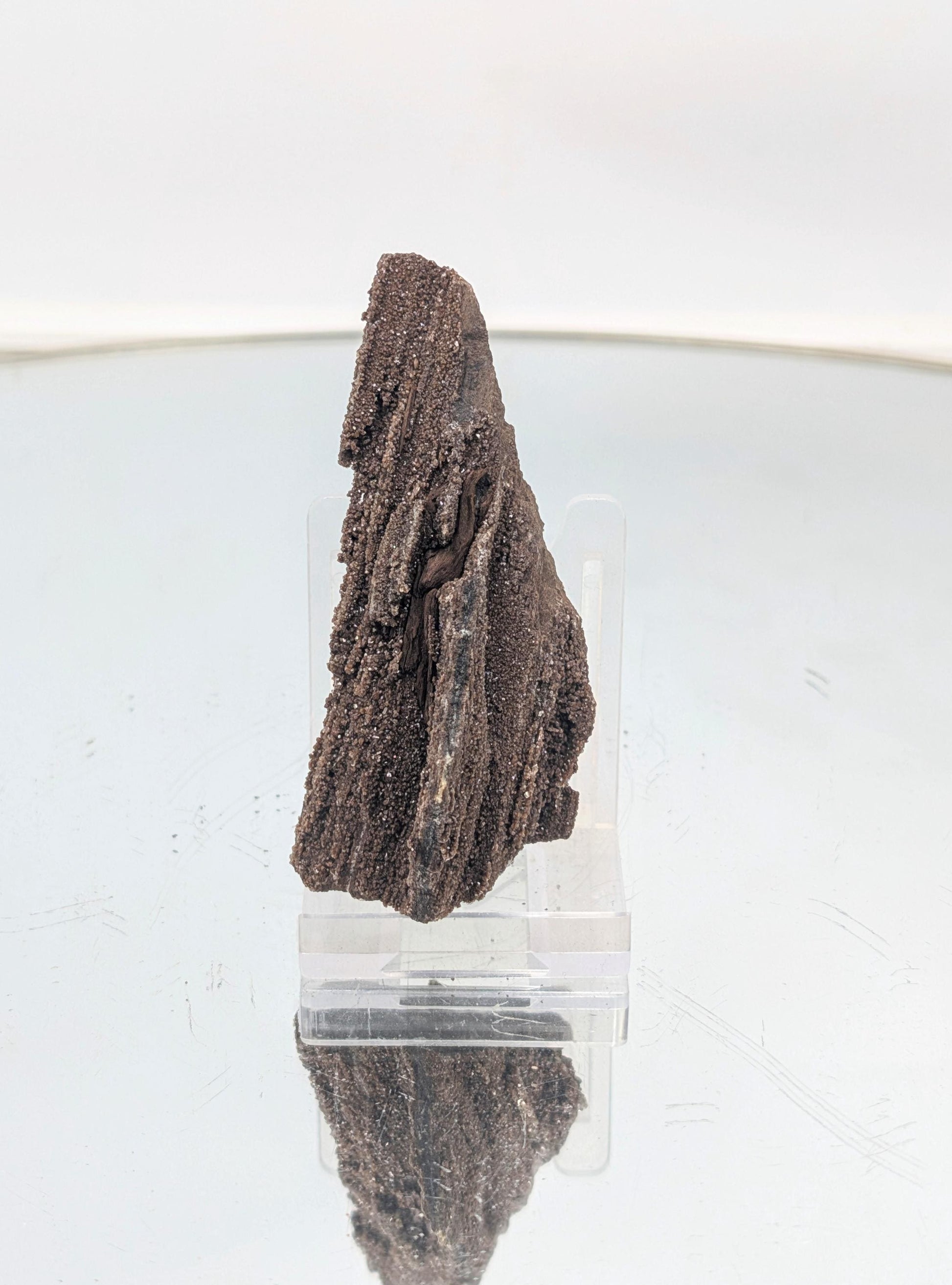 Rare petrified wood with quartz druzy from Germany, featuring stunning crystal formations.