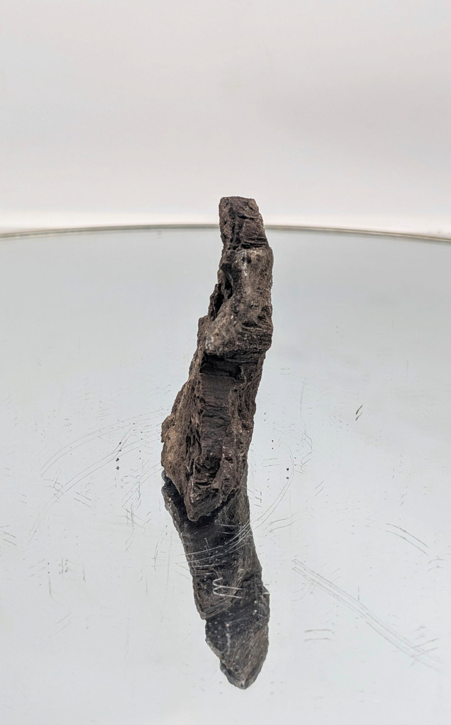 A high-quality petrified wood specimen with quartz druzy from a rare German site.