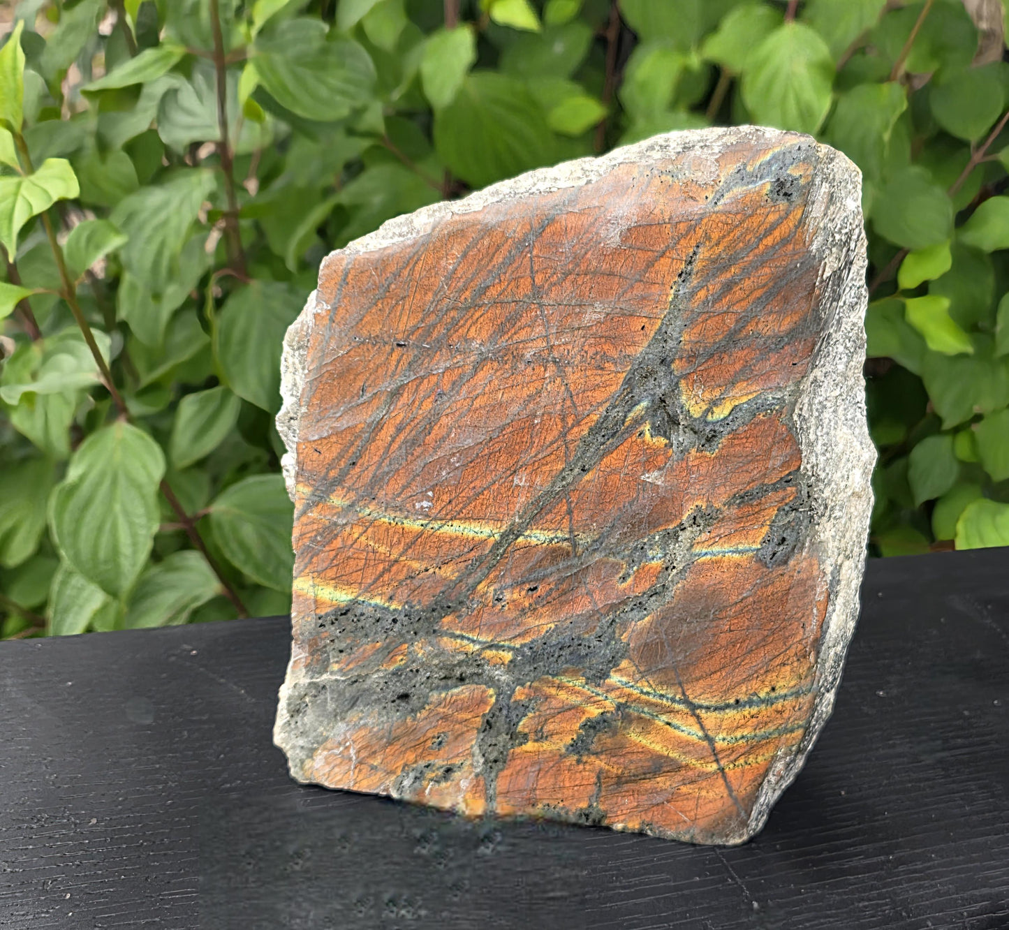 Labradorite sunset crystal specimen, vibrant gemstone with gold flash.