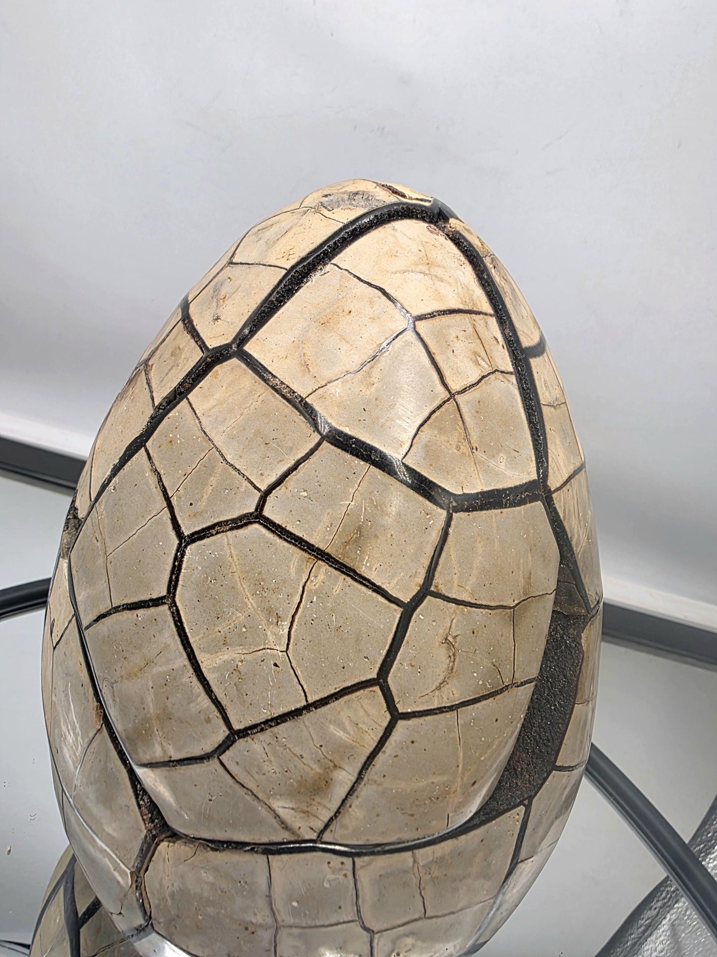 Large black septarian egg showcasing natural artistry.