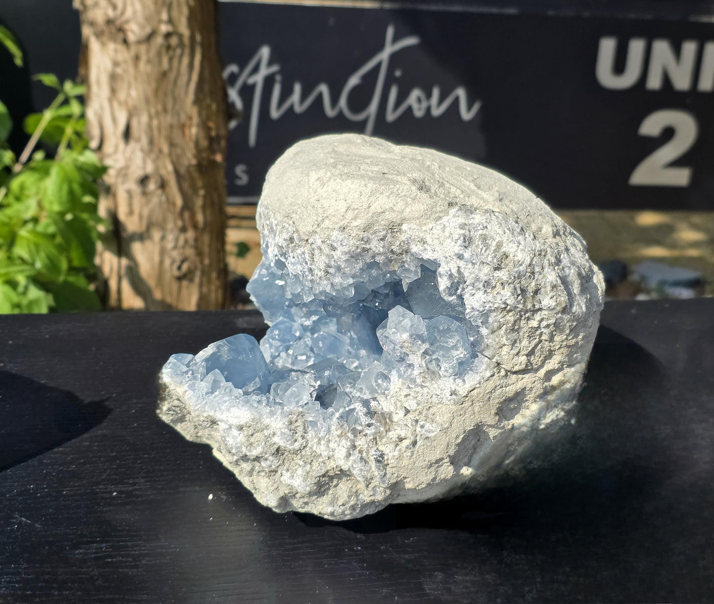 Rare blue celestite cave with reflective crystal facets.