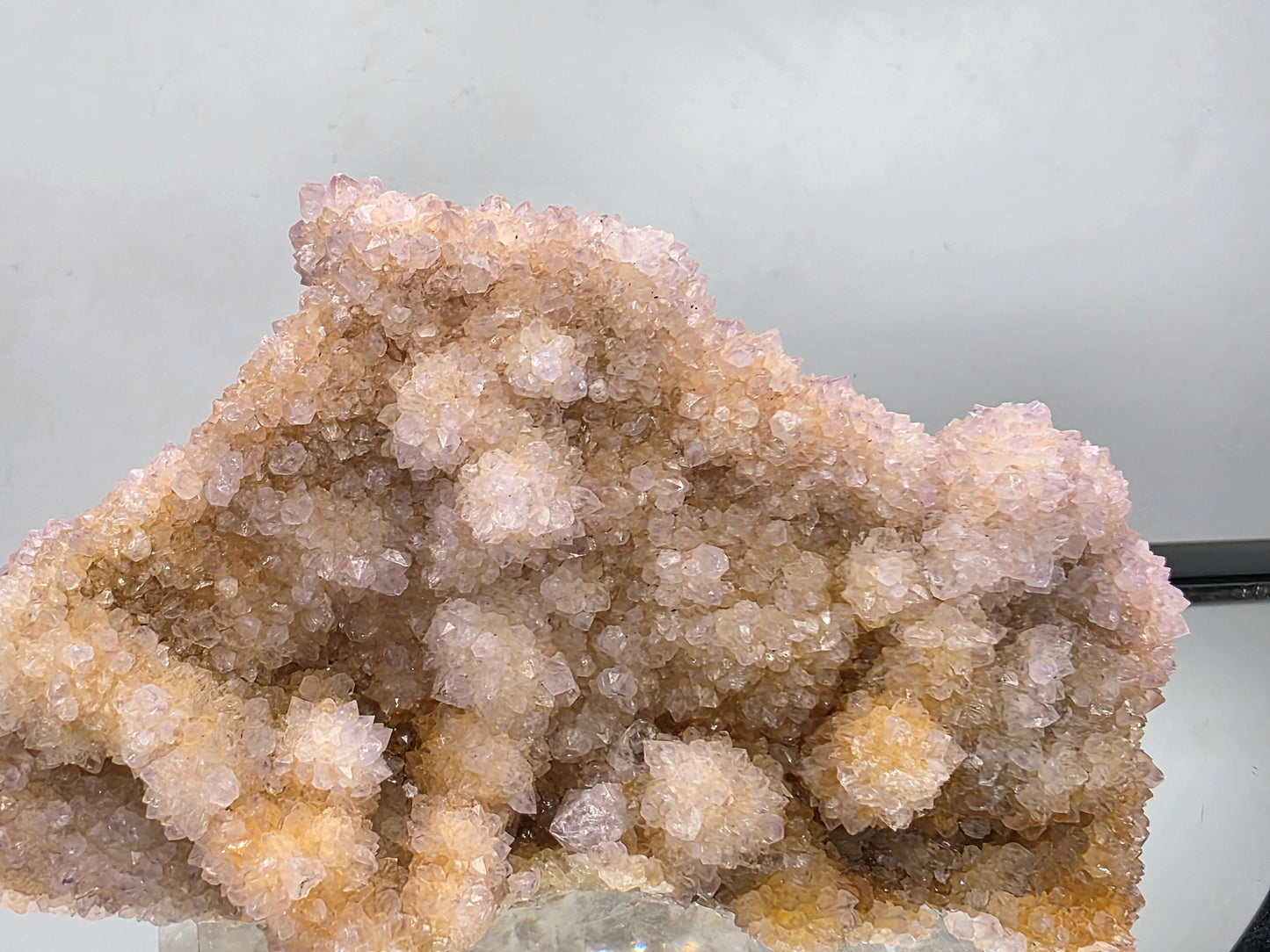 Large Cactus Quartz Amethyst crystal.