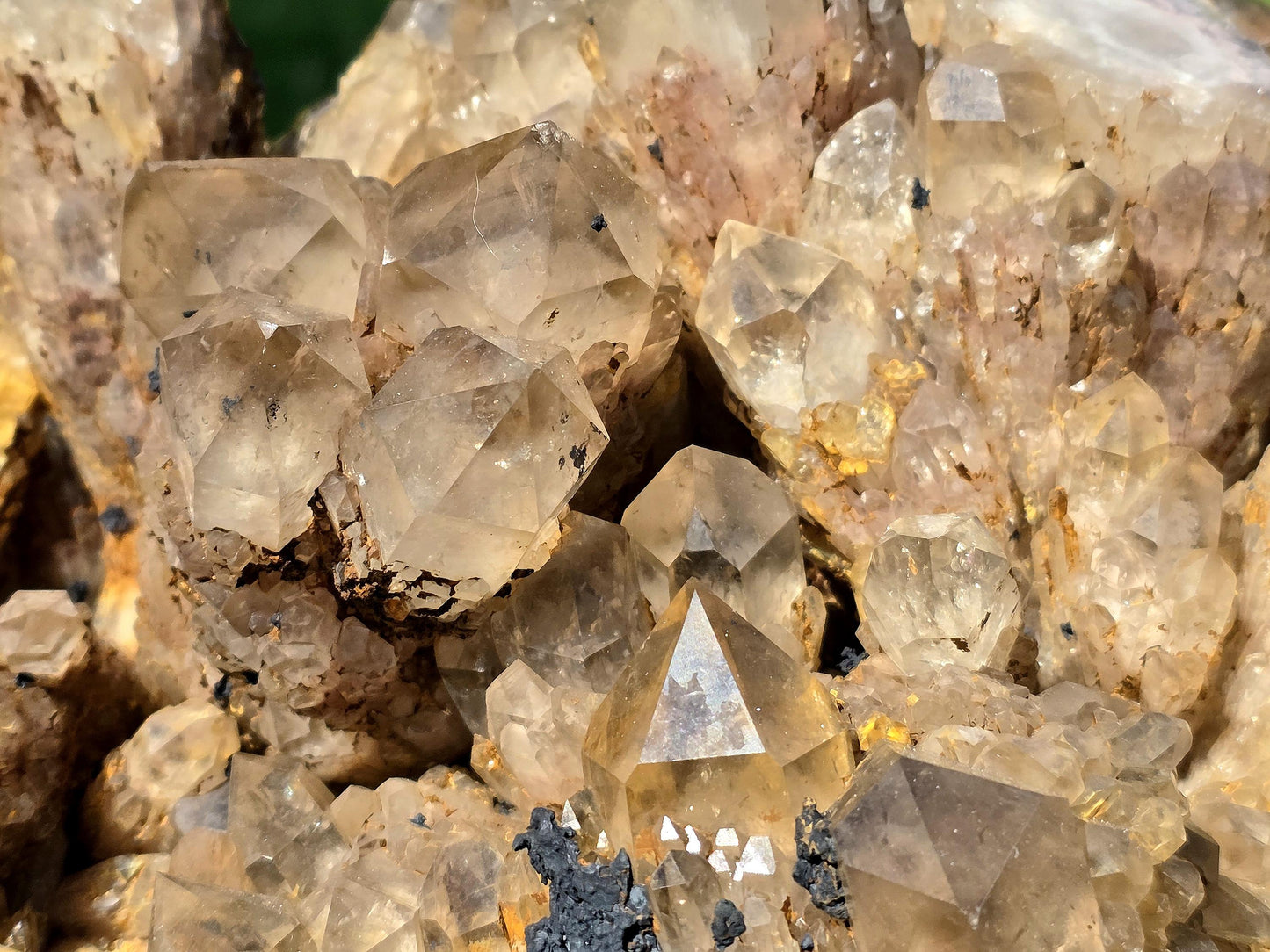 Collector's grade Citrine crystal point