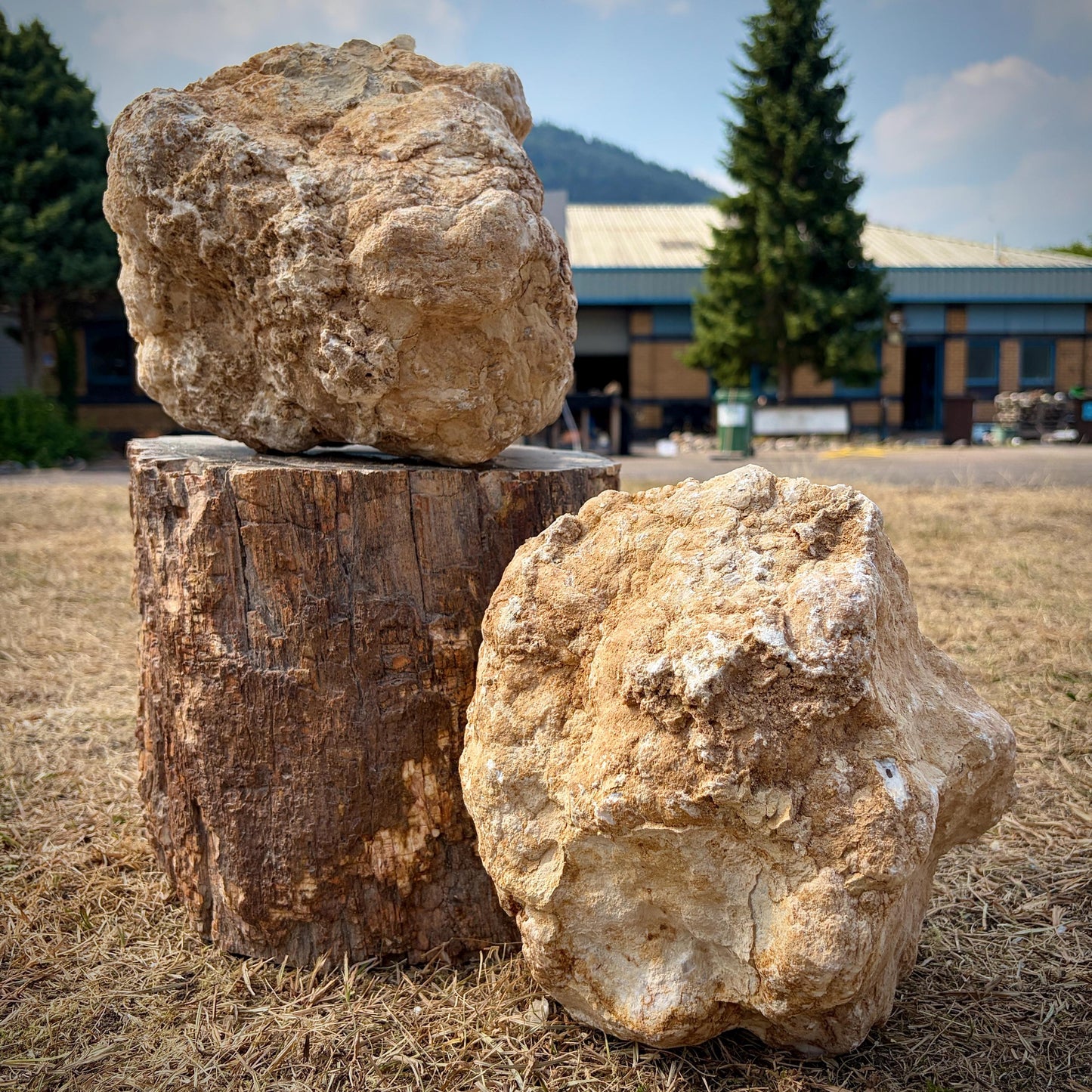 Large crystal geode displayed as a decorative mineral feature.