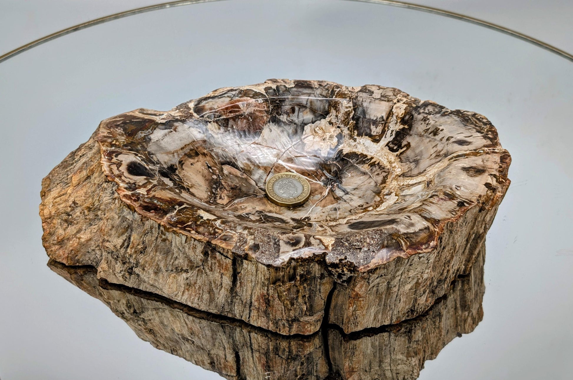 Hand-carved fossil wood bowl with a smooth finish