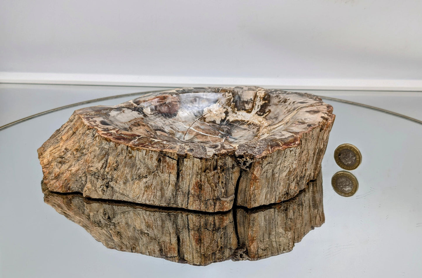 Beautiful large petrified wood bowl with rich textures