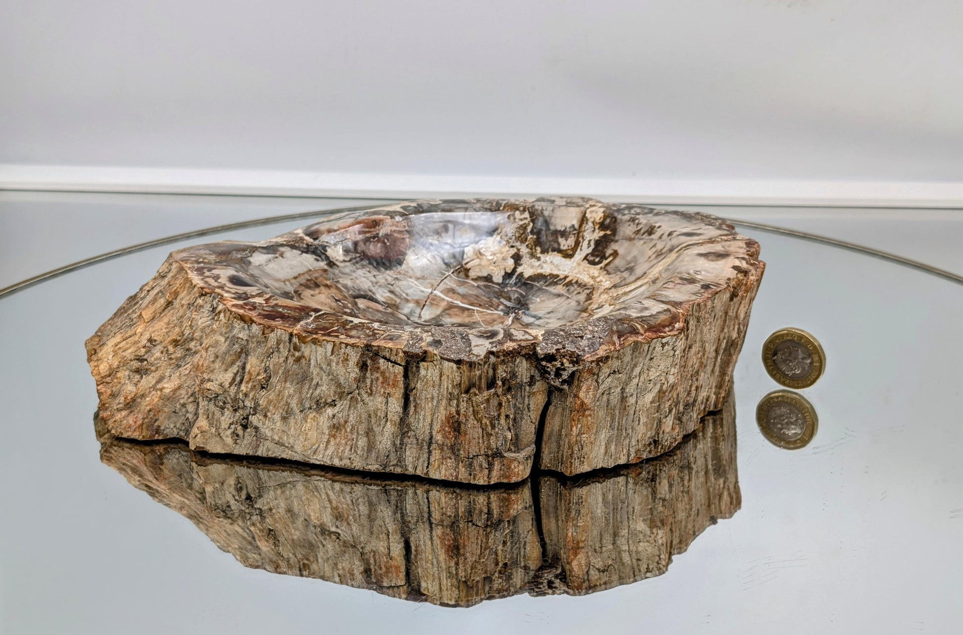Beautiful large petrified wood bowl with rich textures