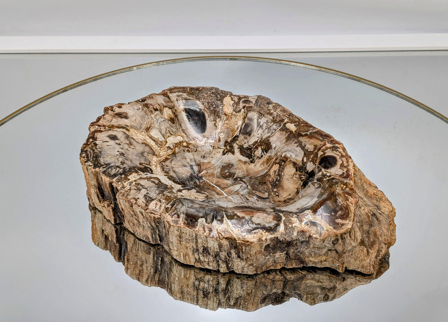 Decorative large fossil wood bowl for modern homes