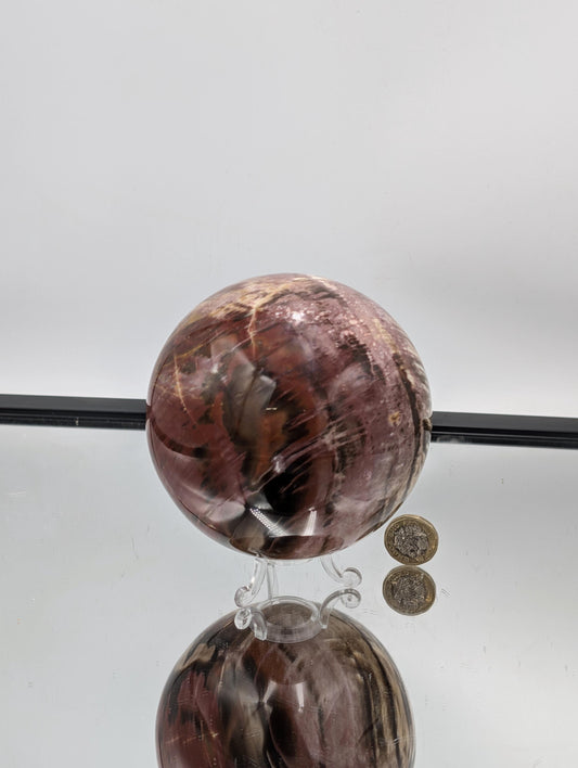 large Fossil Wood sphere with Quartz details