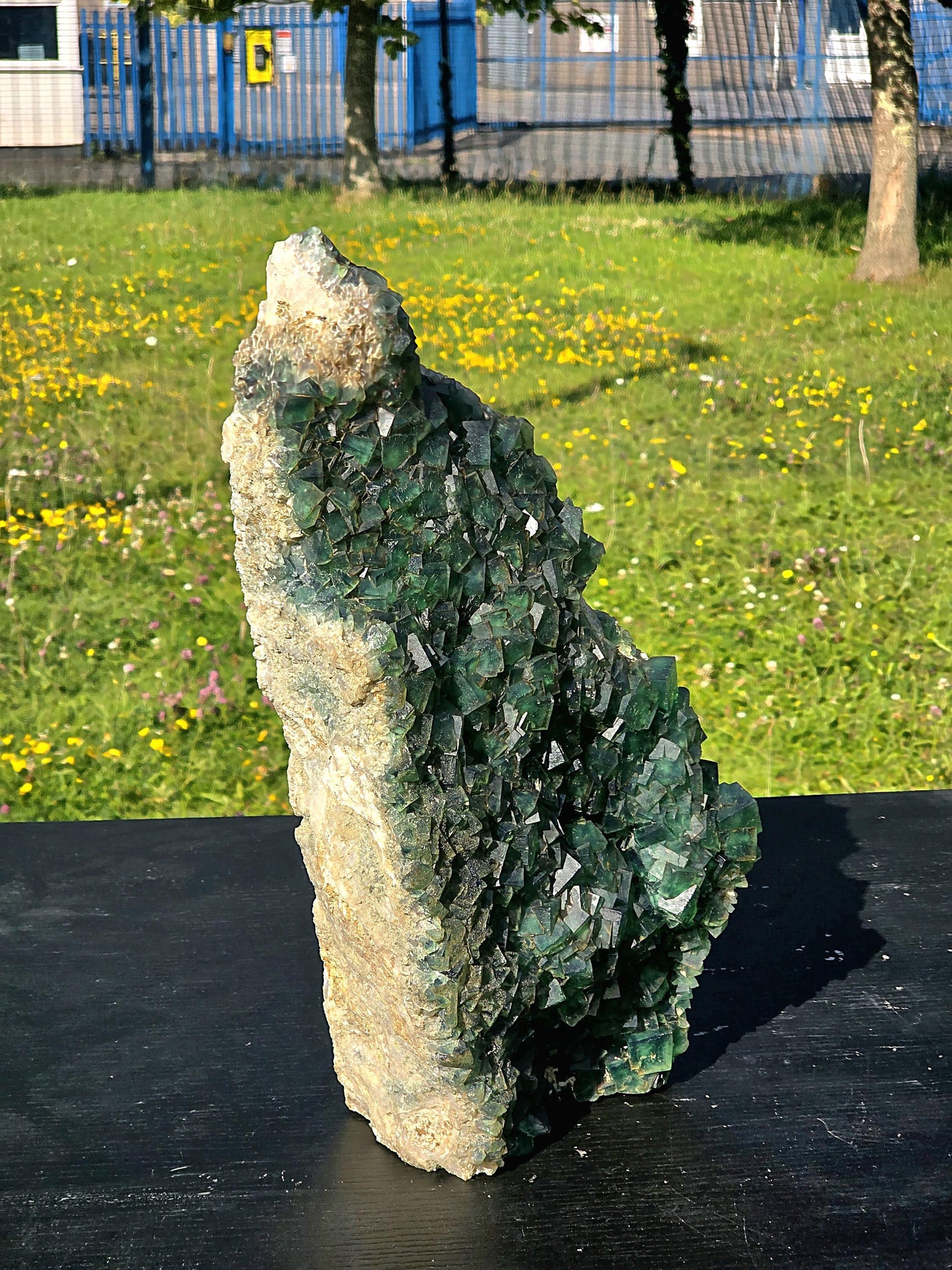 Extra large Madagascan Green Fluorite with vivid green tones.