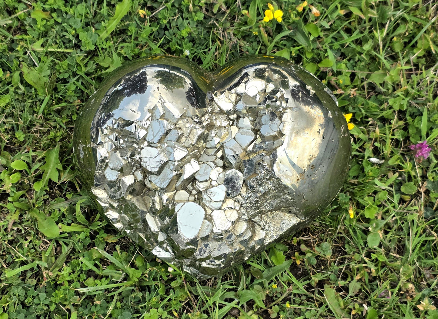 Gleaming display of full heart shape