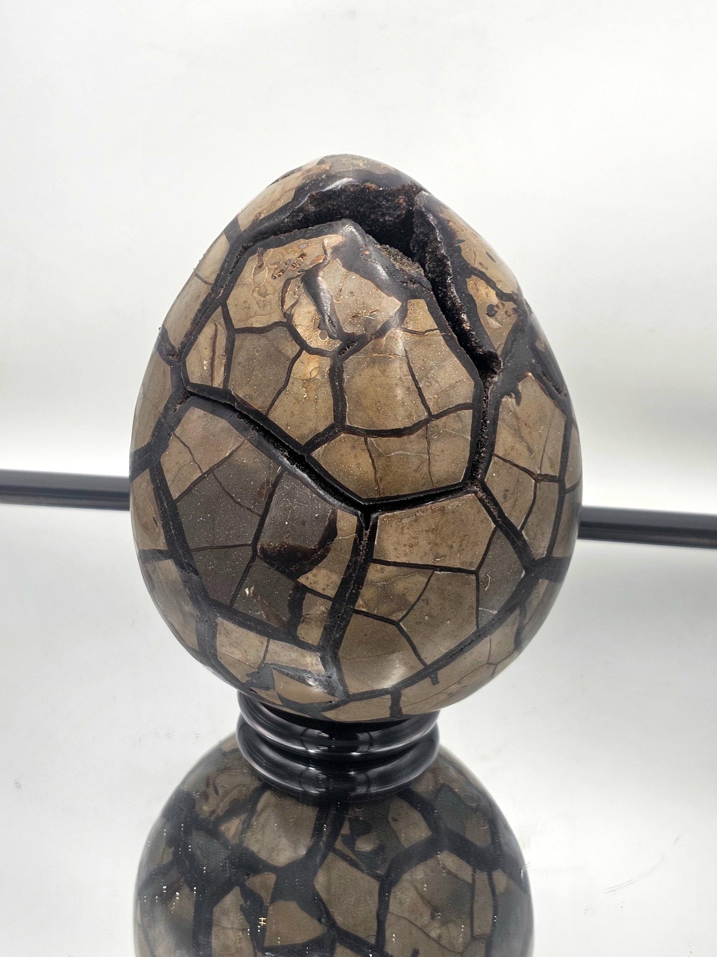 Expertly polished Very Large Black Septarian Crystal Egg, ideal for home decor.
