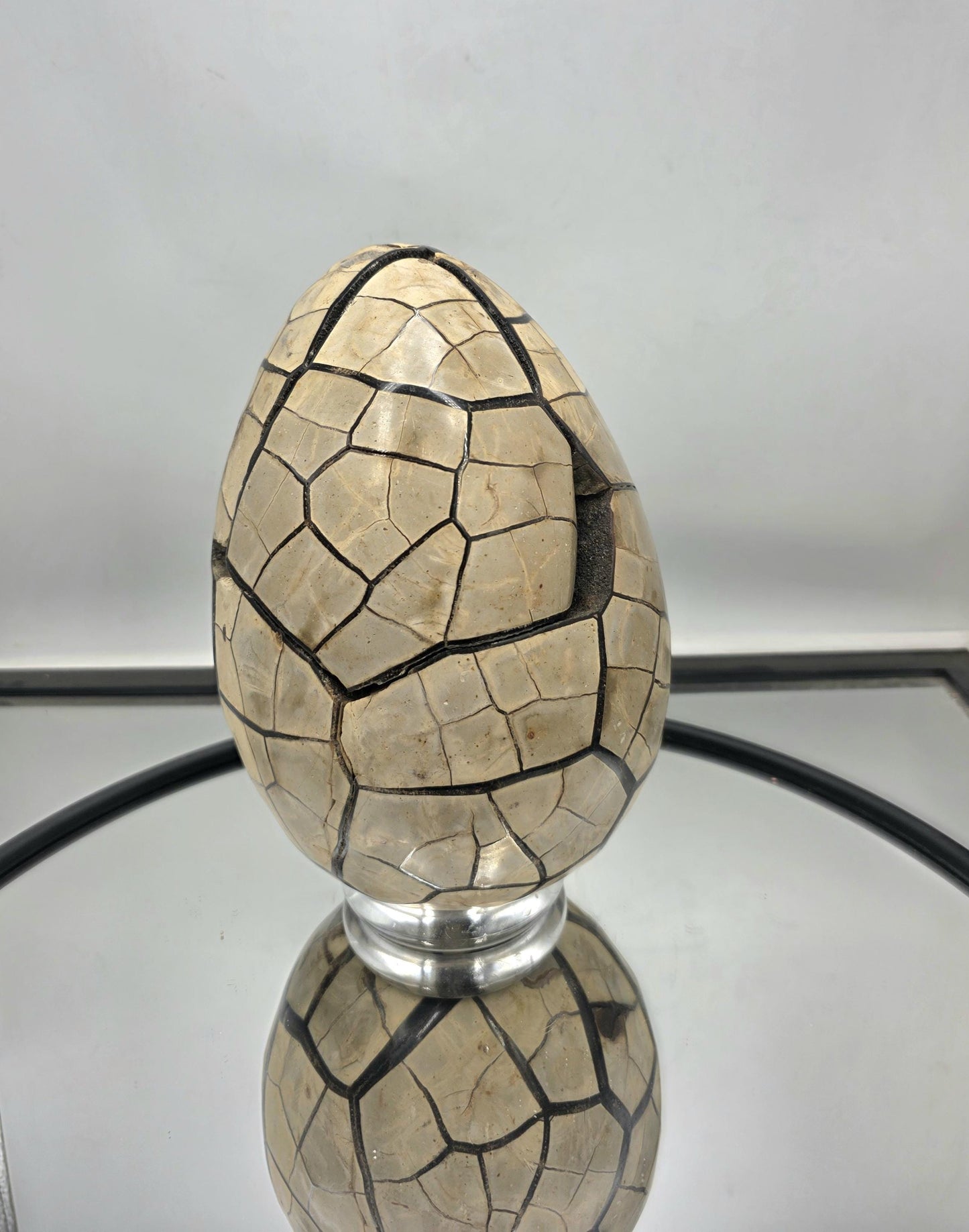 Substantial septarian egg revealing intricate interiors.