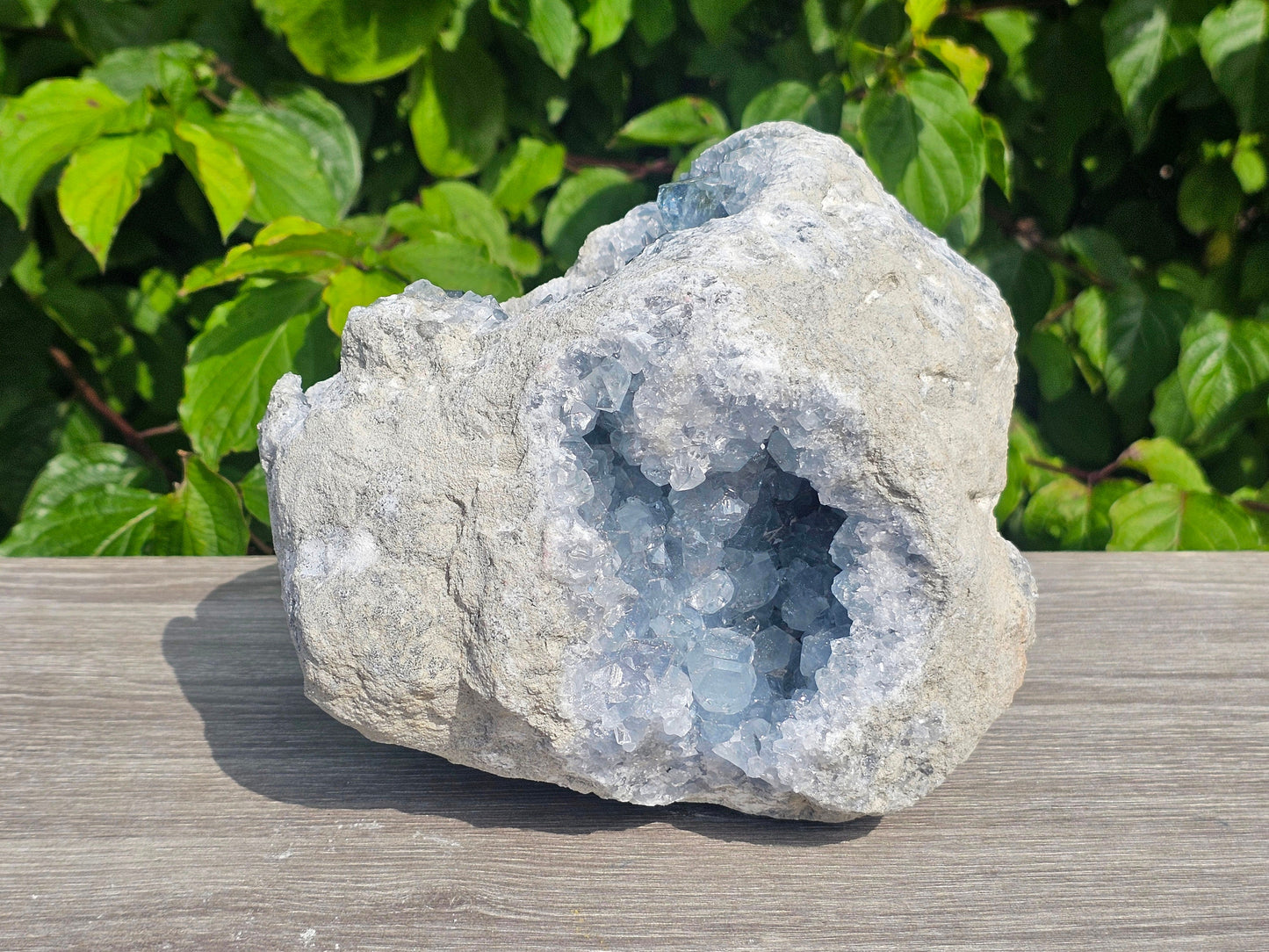 large crystal geode celestite