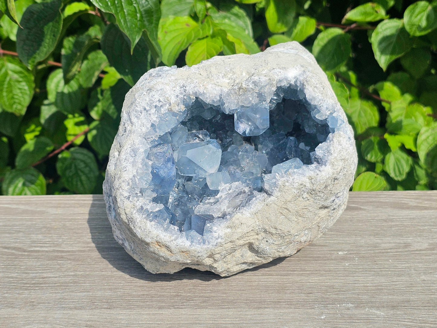 large crystals ceestite geode
