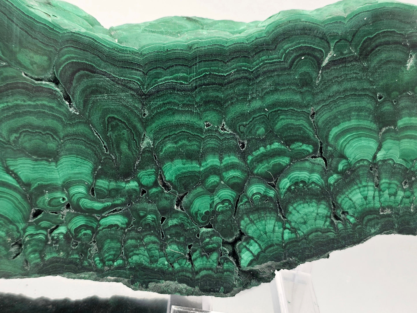 large green malachite crystal slice