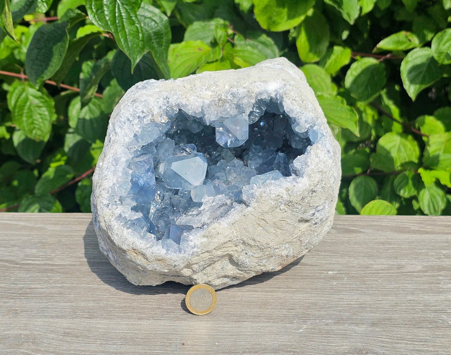 large high quality celestite crystal geode