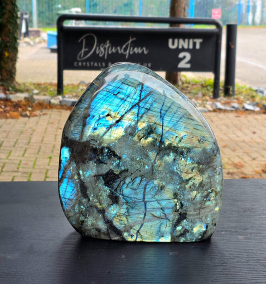 high quality labradorite with full flash