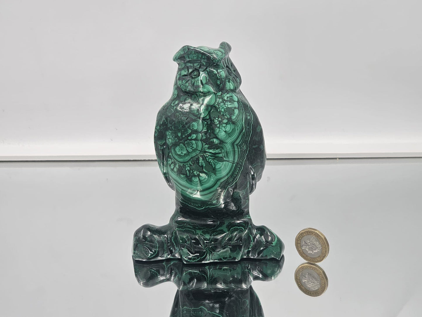 large malachite animal gorilla