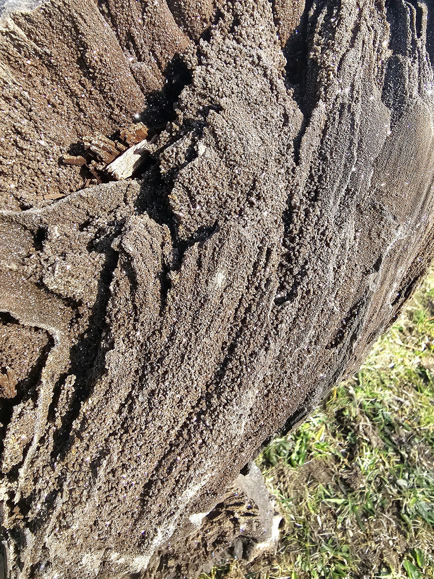 large permineralised fossil wood with quartz crystal perfect for natural interior design art