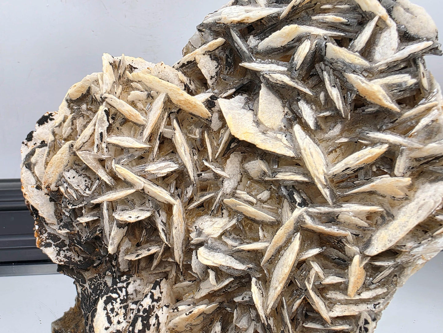 Layered petal structure of Black Rose Baryte