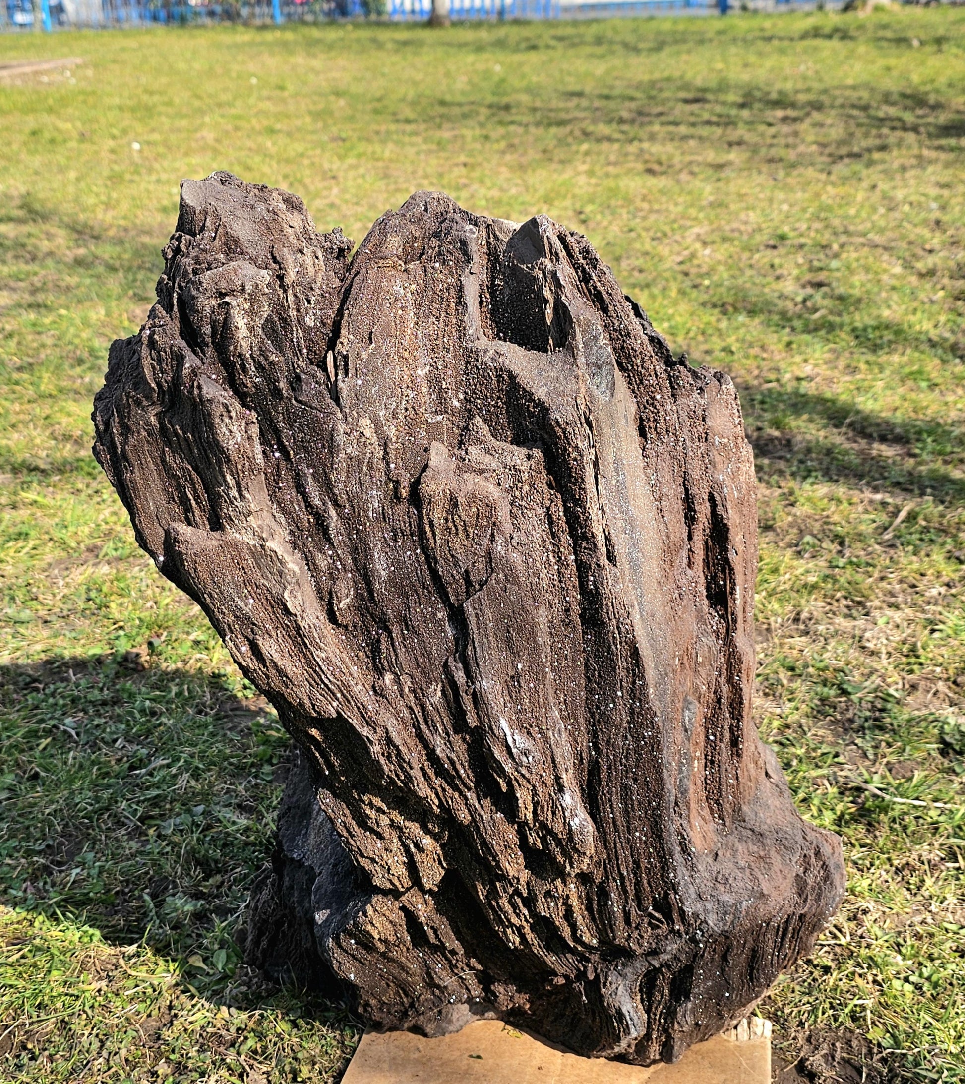 A high-end petrified wood fossil with dazzling quartz druzy, ideal for luxury interiors.