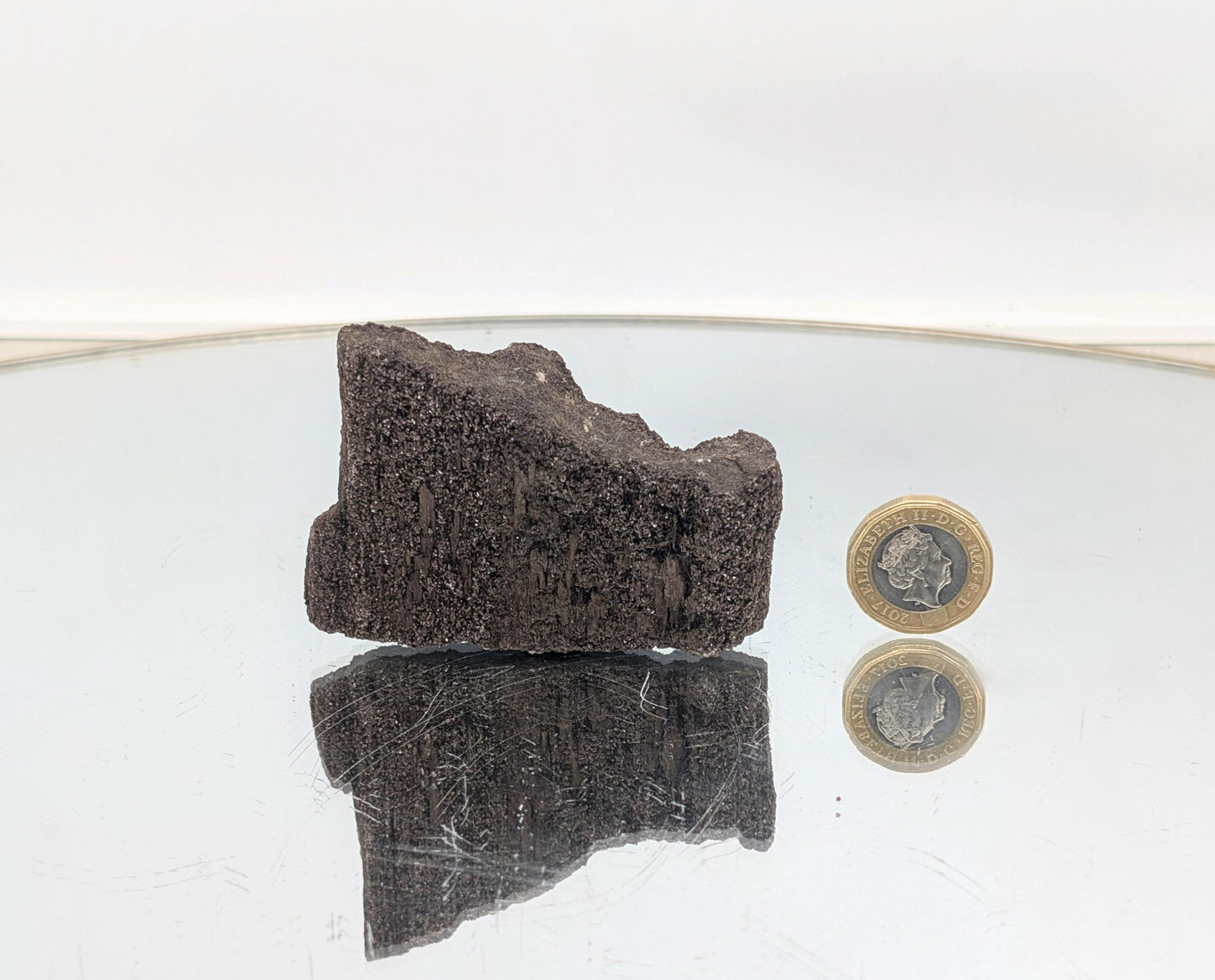 Luxury interior decor piece—petrified wood with shimmering quartz druzy.