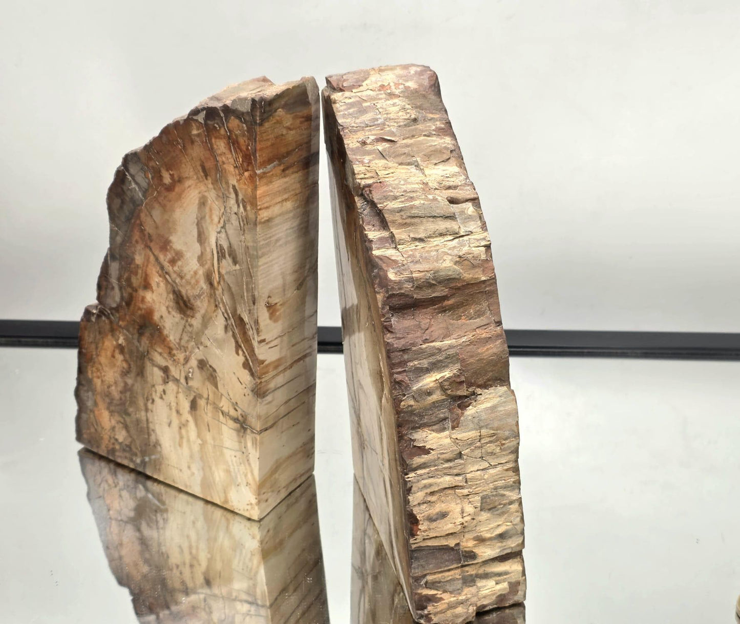 fossil wood bookends for luxury home decor