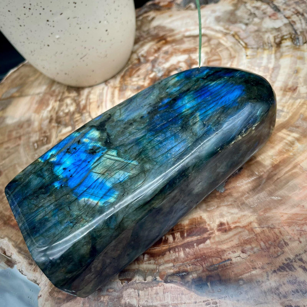 Madagascan Labradorite polished freeform