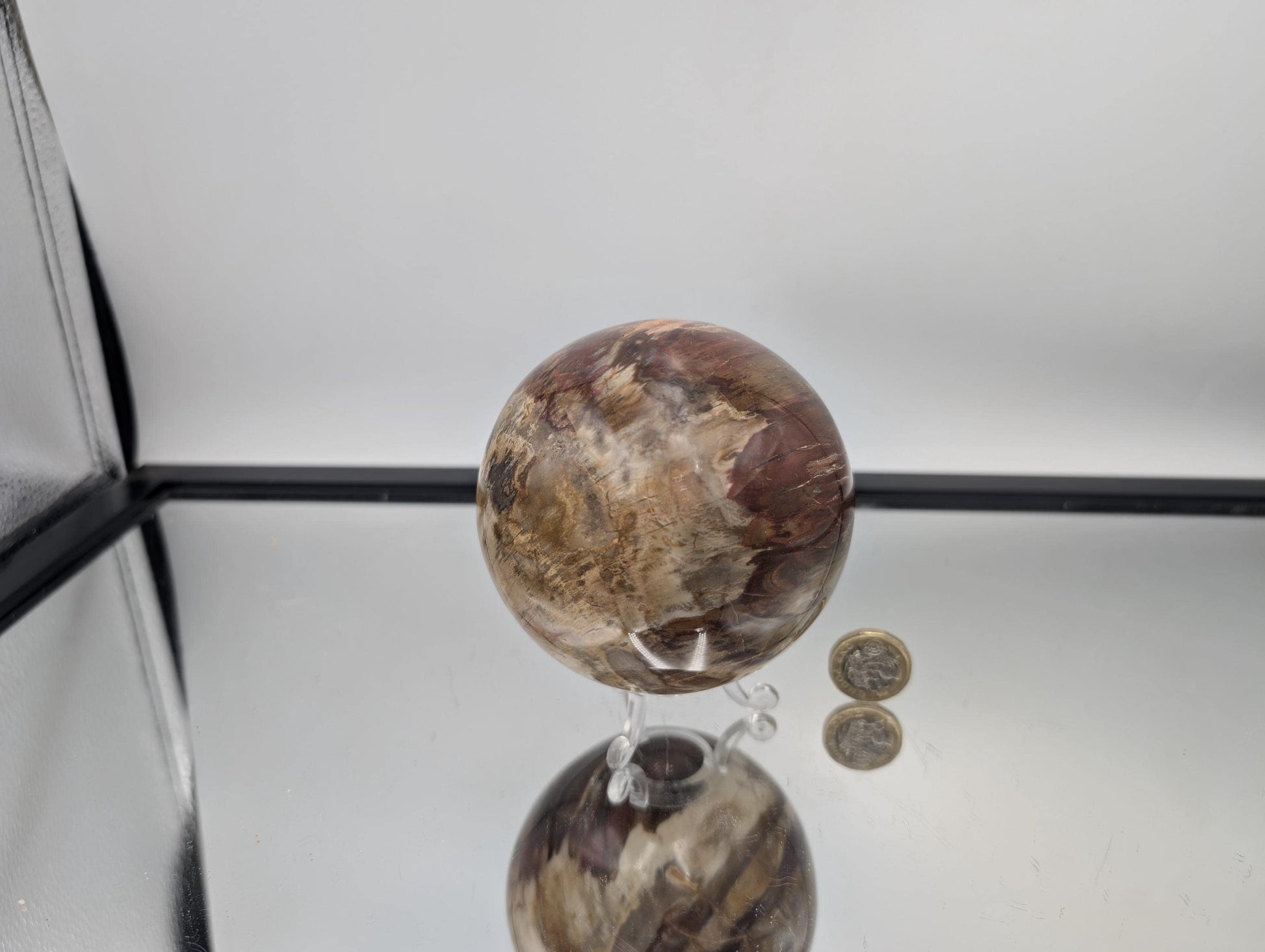 Madagascar Fossil Wood crystal sphere with Quartz