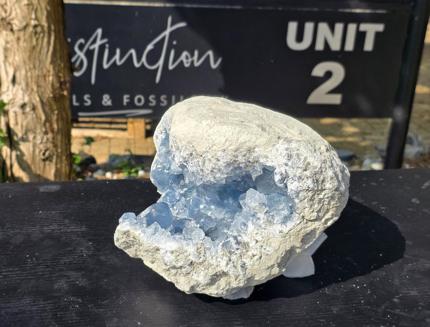 Origin-authenticated celestite cluster from Madagascar.