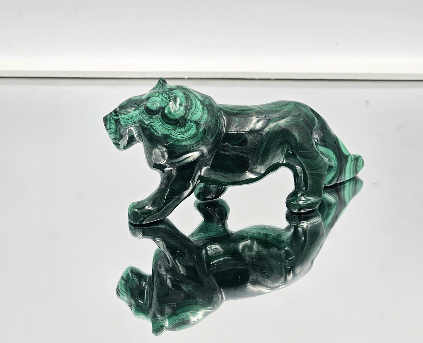malachite tiger