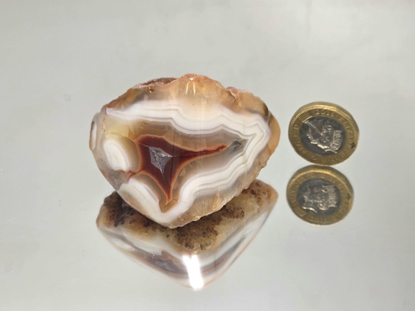 Vibrant Malawi Agate polished geode display piece.