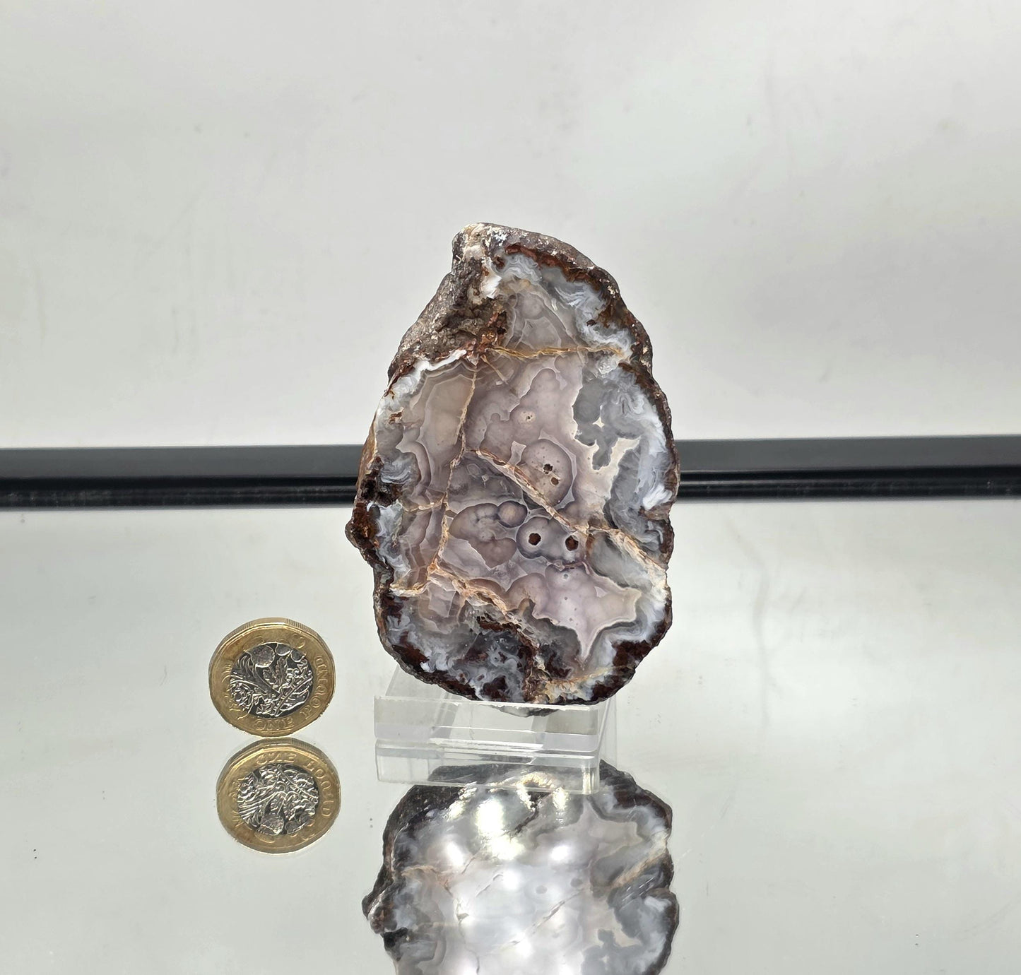 Mexican Agate Geode with polished edges highlighting layered patterns.