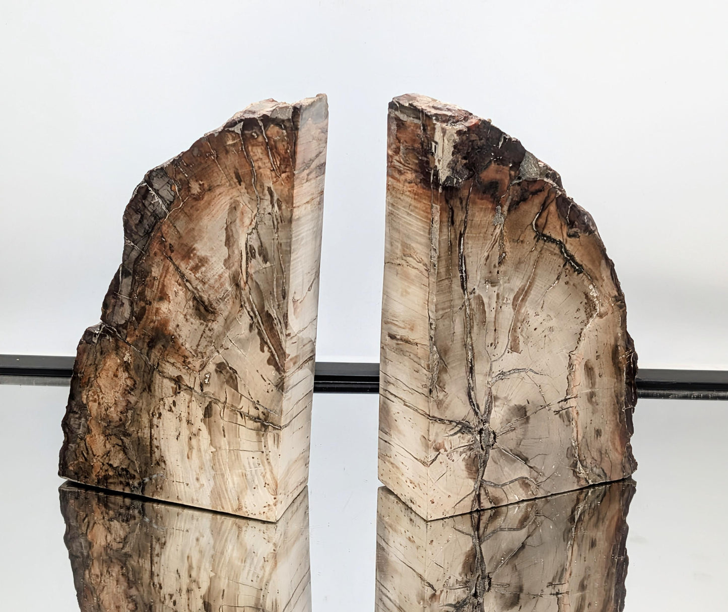 Pair of natural fossil wood bookends with rich earthy tones.