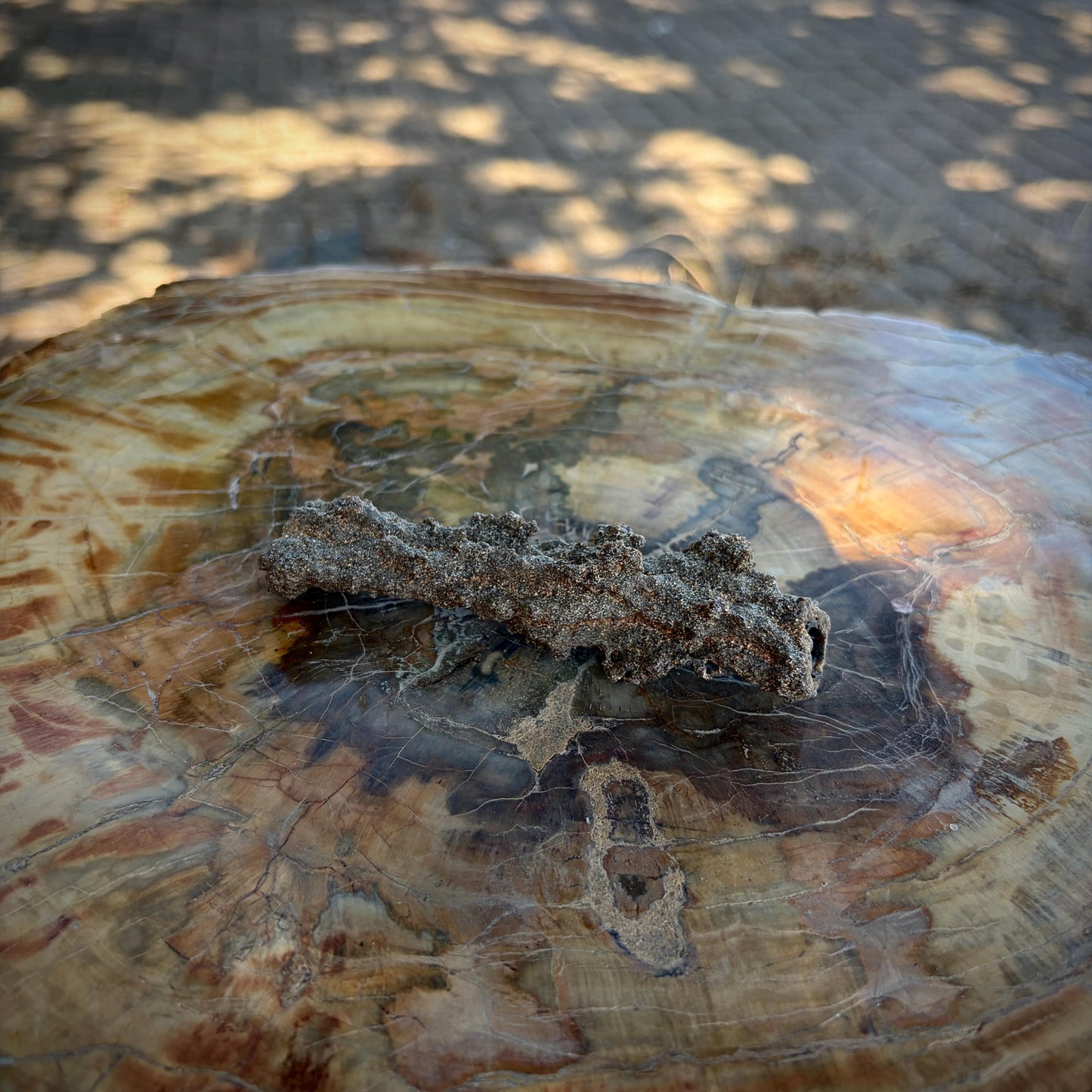 Detailed view of a natural Algerian Fulgurite specimen for mineral collectors.