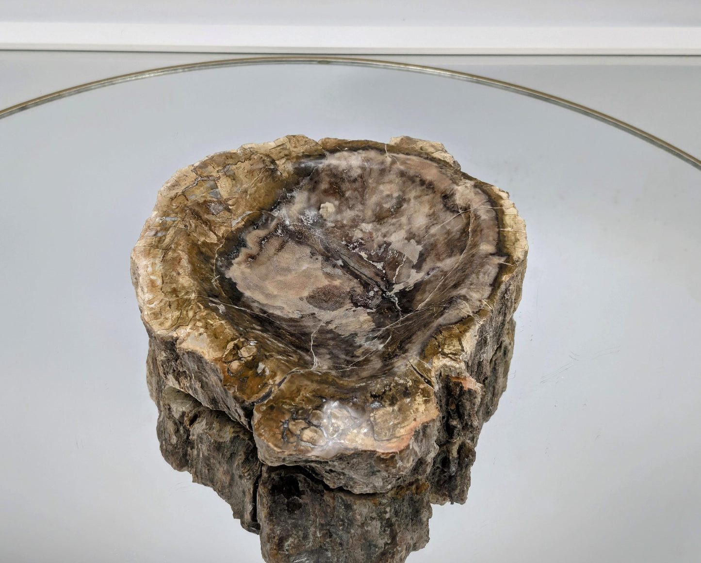 Natural petrified wood bowl, stunning home piece