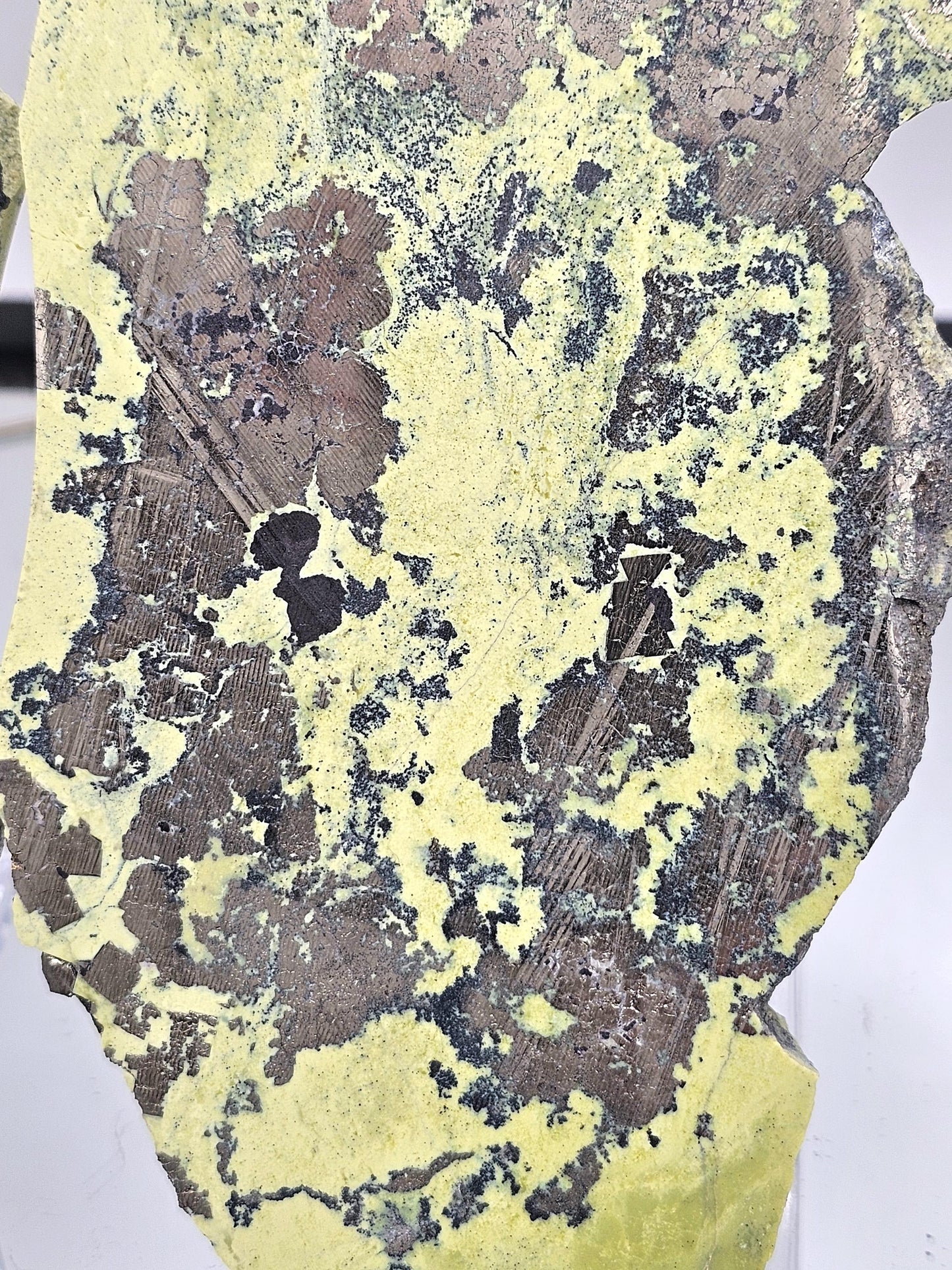 Natural Serpentine and Pyrite Wings for home décor.