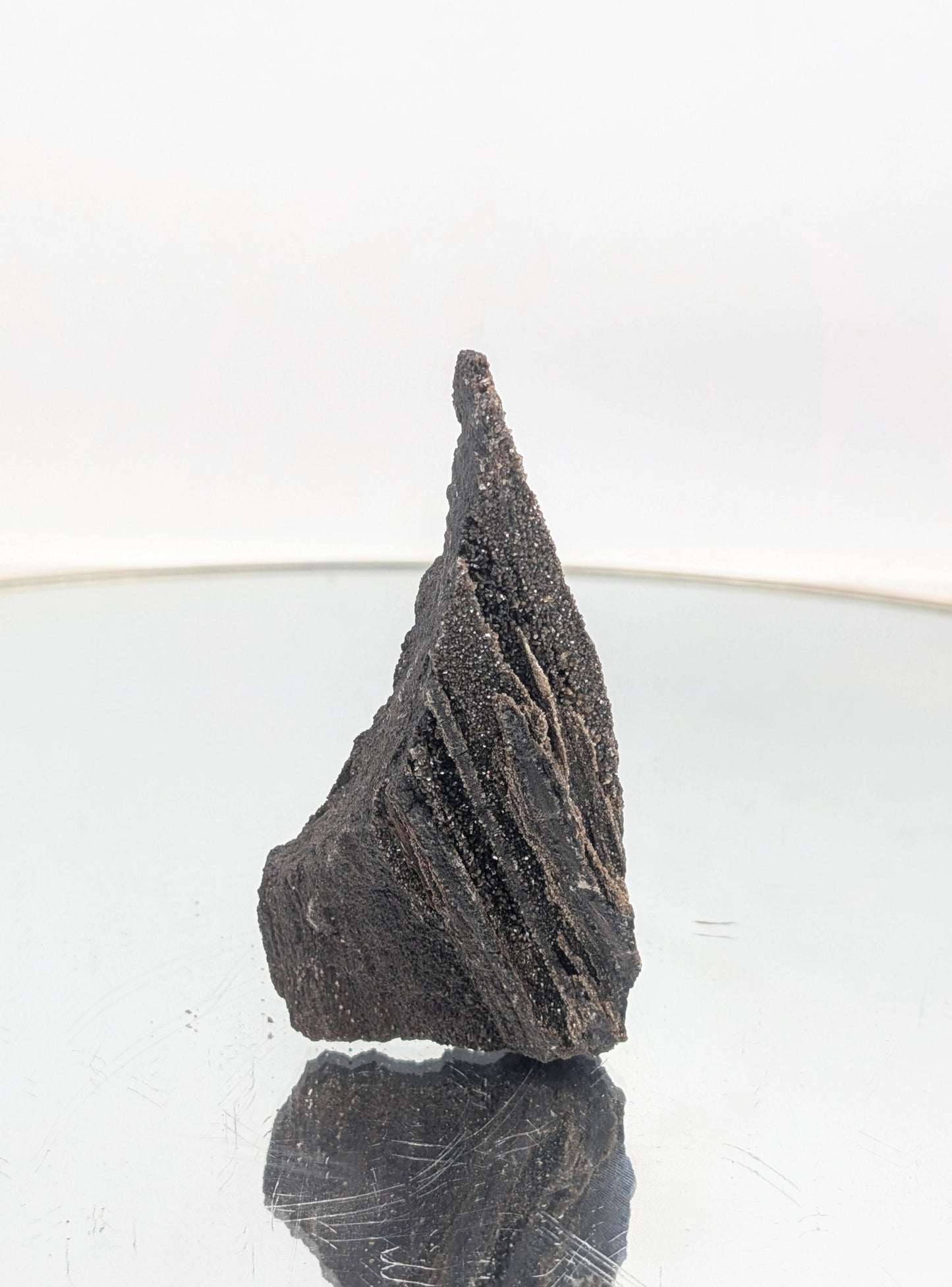 A one-of-a-kind petrified wood fossil with quartz druzy, ideal for display.