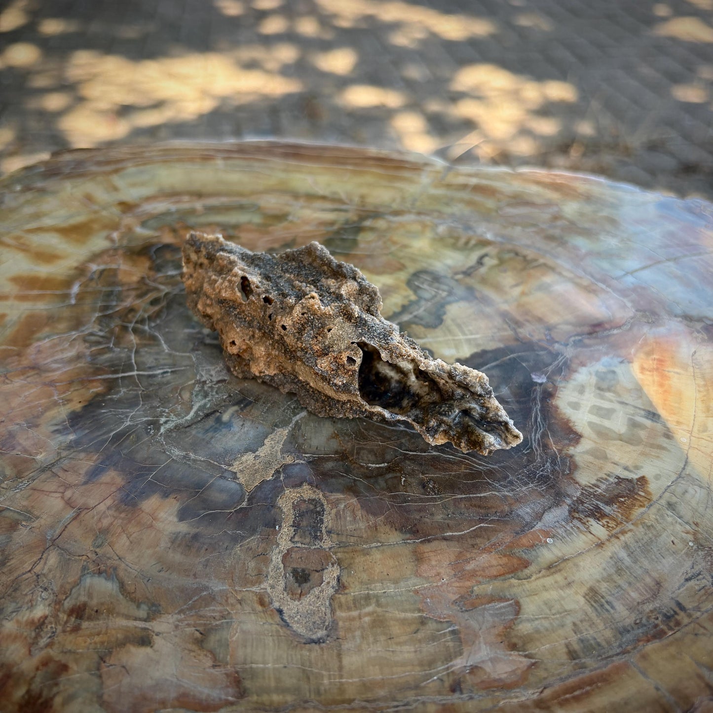 Detailed view of a petrified lightning specimen formed when lightning fused desert sand.