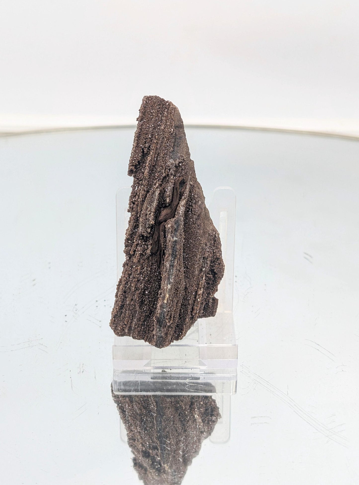 etrified wood crystalized with quartz druzy, a one-of-a-kind natural display piece.