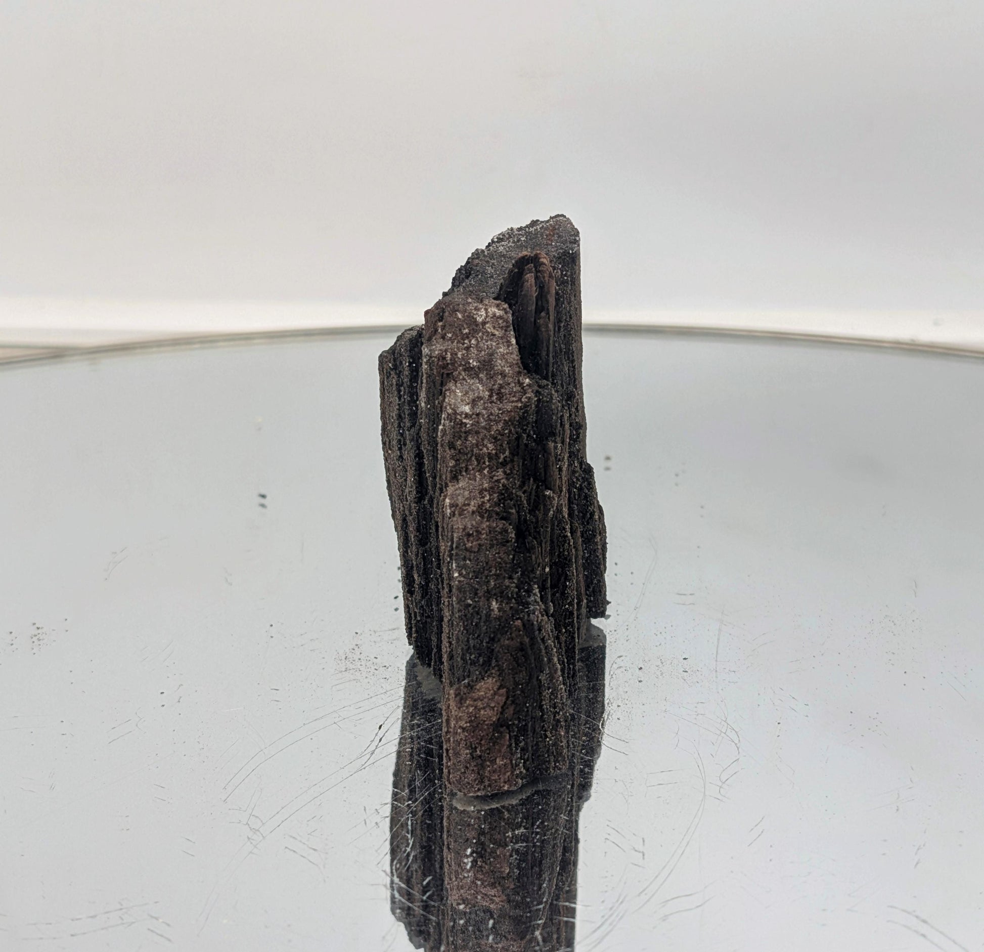 petrified-wood-druzy-quartz-collectible