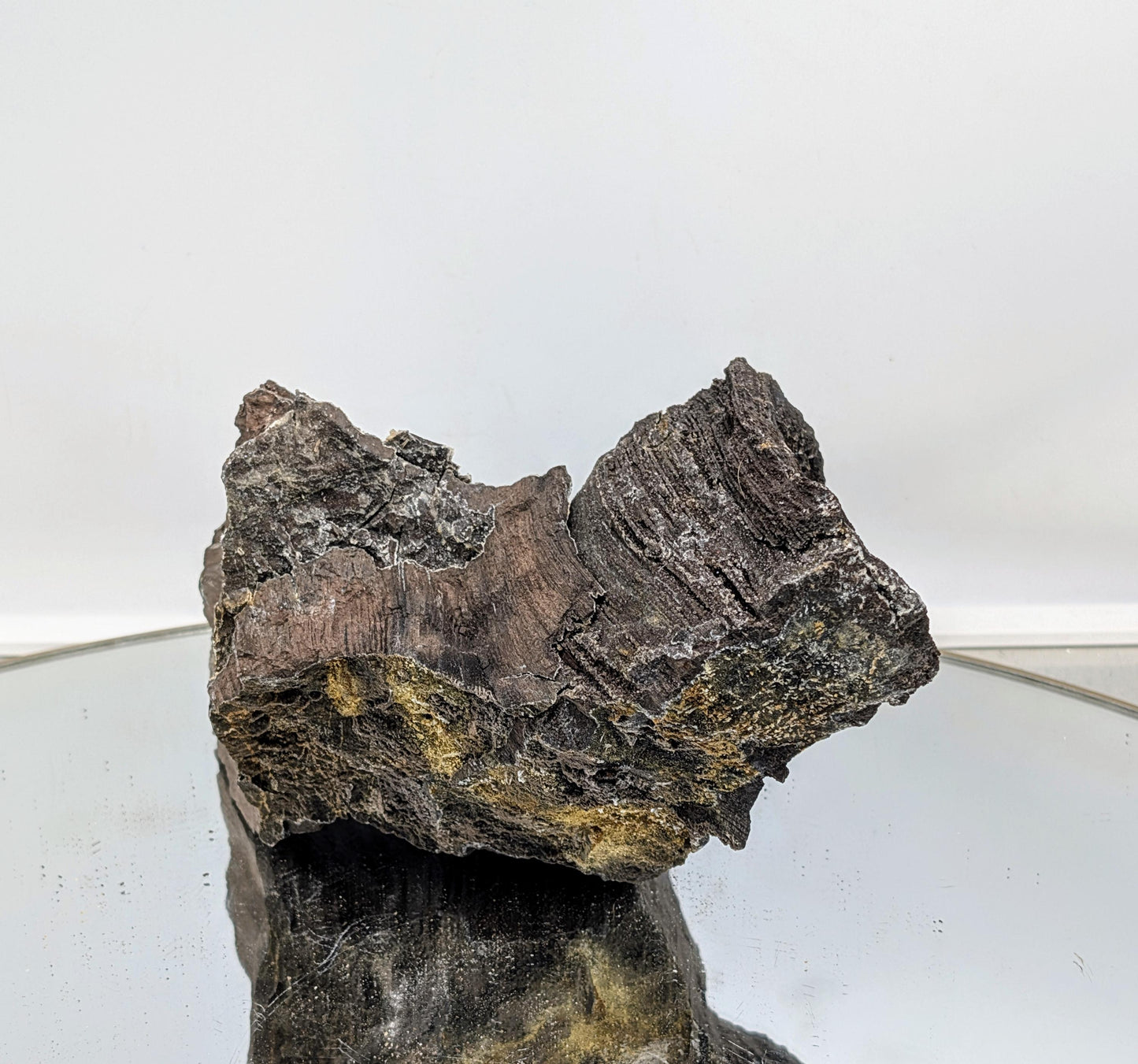Petrified wood with natural quartz druzy deposits