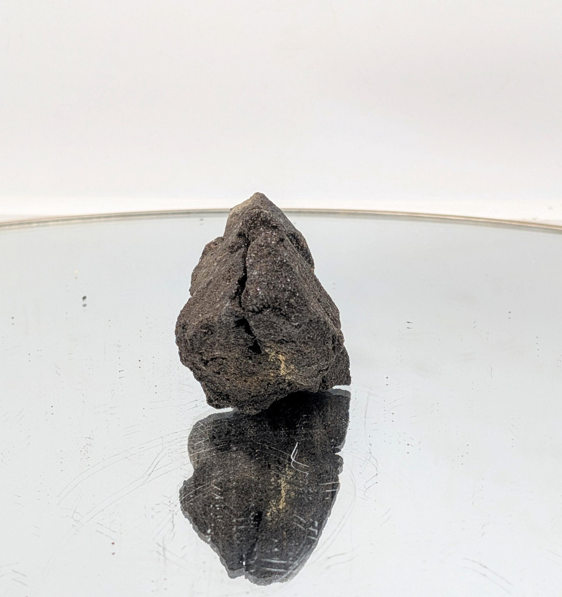 A premium geology collectible—petrified wood with druzy quartz.