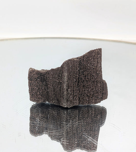 A rare petrified wood collector’s piece covered in quartz druzy.