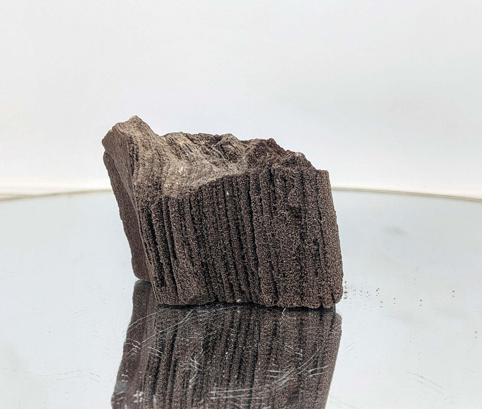 A collector’s dream—petrified wood fossil covered in quartz druzy.