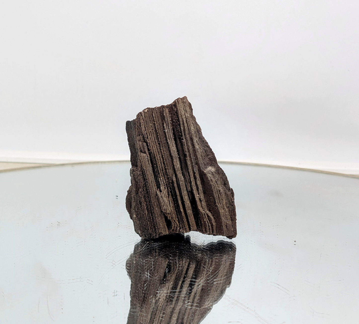 Ancient crystal fossil—petrified wood with quartz druzy sparkle.