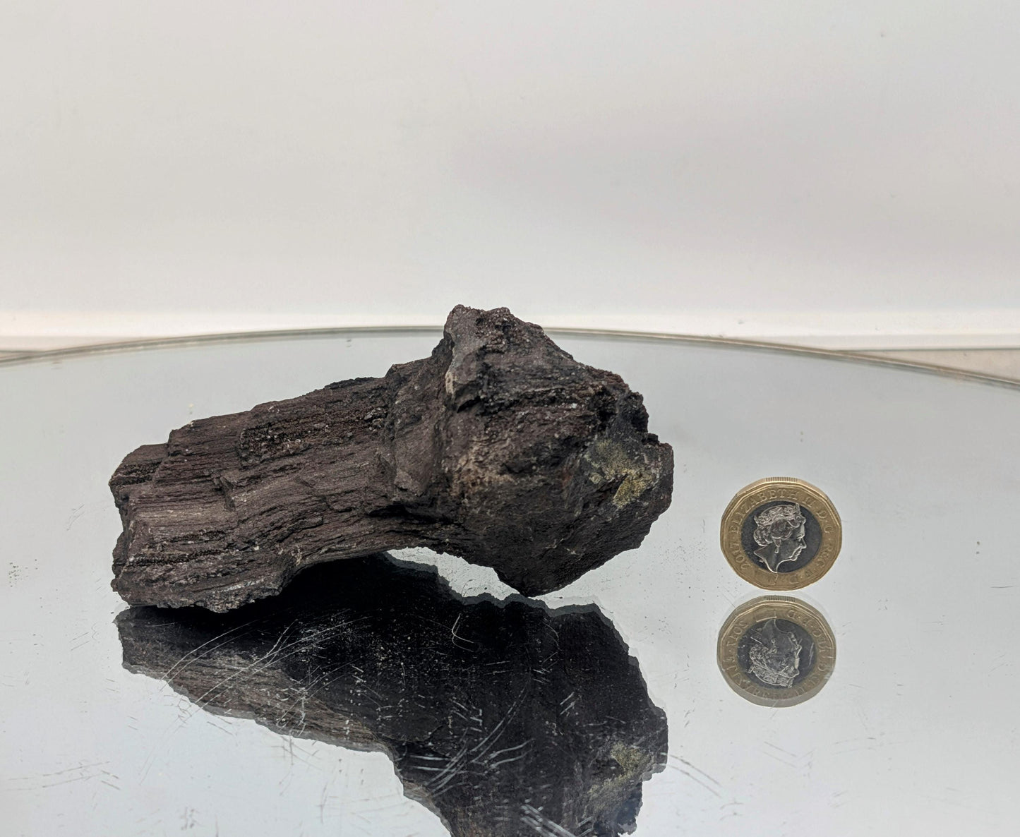 Ancient petrified wood crystal with druzy quartz, a unique find.