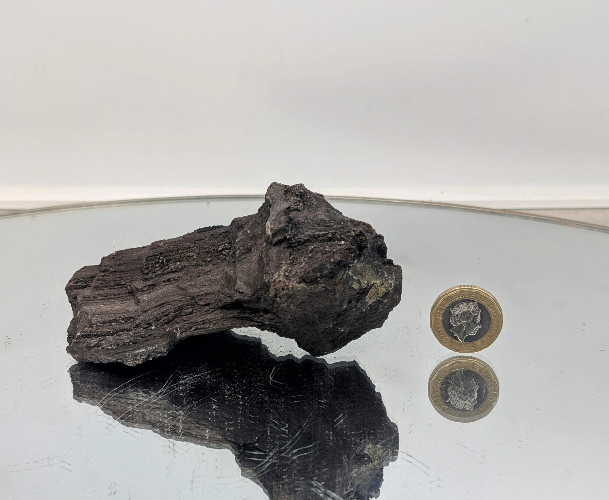 Ancient petrified wood crystal with druzy quartz, a unique find.